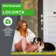 Frontline Combo Spot-On XL – Soluție Antiparazitară Externă pentru Câini de Talie Mare (40–60 kg) – 3 Pipete